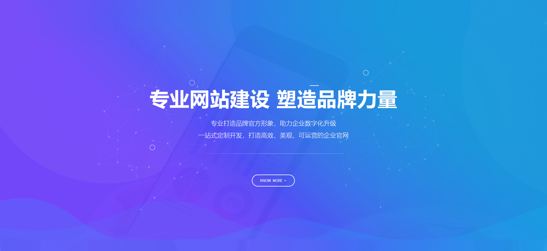 陵水建站-专业网站建设 塑造品牌力量