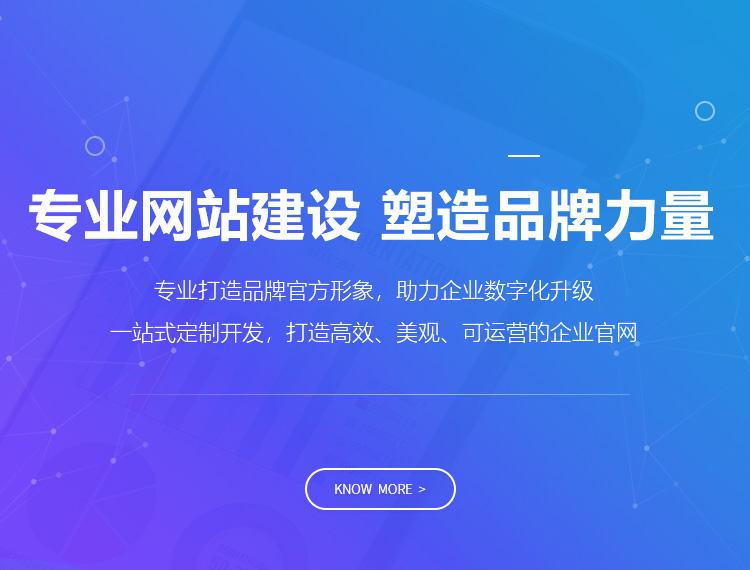 陵水建站-专业网站建设 塑造品牌力量